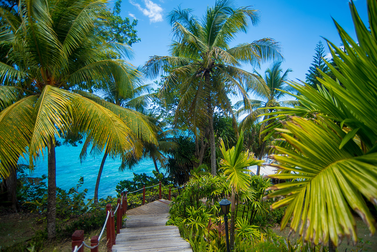 Tropical Garden of the 4 Stars Hotel Auberge de la Vieille Tour located in Guadeloupe at Le Gosier